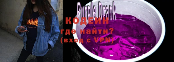 хмурый Абаза