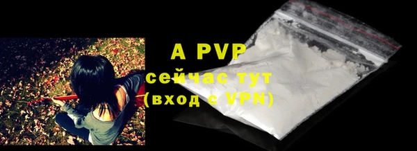 хмурый Абаза