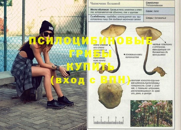 хмурый Абаза