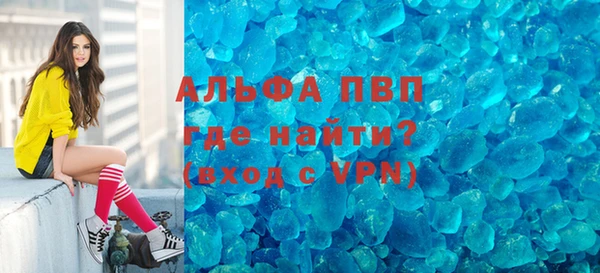хмурый Абаза